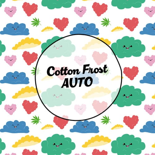 Cotton Frost Auto - 2