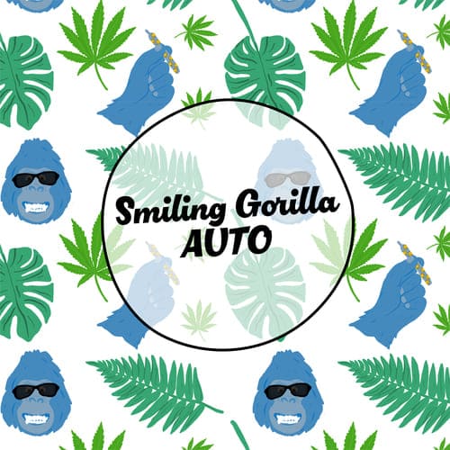 Smiling Gorilla Auto - 2