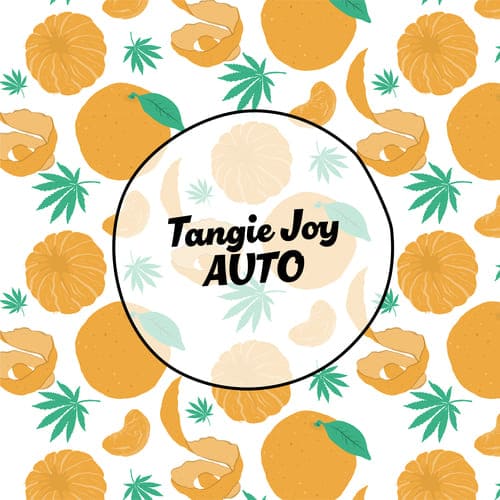 Tangie Joy Auto - 3
